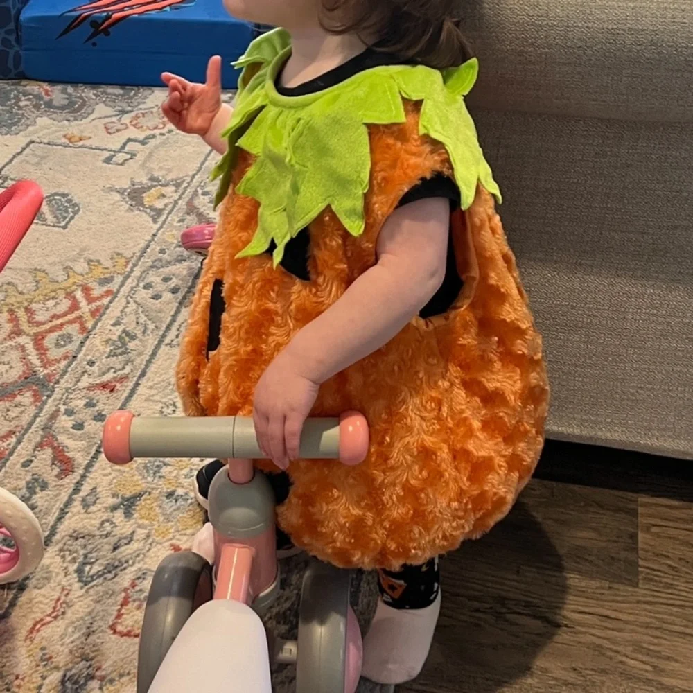 Pumpkin toddler costume/Med/18 mo old wore 2h/Hat/velcro/elastic/plush/non smo